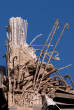 20070904_164431 Armature di un pilastro