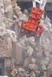 20080110_111119 Pinza NPK S-35 durante la demolizione del padiglione 6