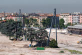 20080715_100239 Tensostruttura e cedri