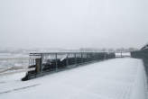20081128_112622 Sul tetto del 3 sotto la nevicata