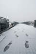20081128_113455 Sul tetto del 3 sotto la nevicata