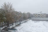 20081128_115047 Lungo viale Cassiodoro sotto la nevicata