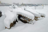 20090107_110419 Pinze sotto alla nevicata