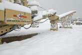 20090107_113932 Frantoio General