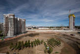 20130917_125819 Scavo Rb2 adibito a deposito area verde