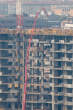 20110218_100346 Rb1 B5
