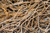 20130213_140211 Spaghetti di armature