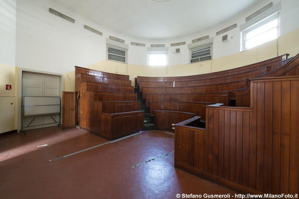  Istituto Enrico Borghi - click to next image