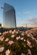 20120913_192801 Fioritura