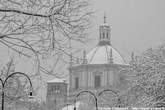 20050303_133229  Cupola S.Lorenzo tra i rami innevati