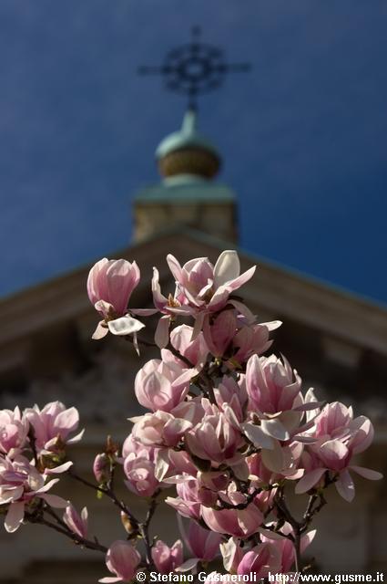  Magnolie e croce sommitale S.Maria Segreta - click to next image