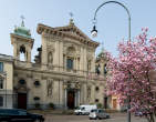 20120316_100235 S.Maria Segreta e fioritura magnolie