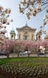 20120316_100403 S.Maria Segreta e fioritura magnolie