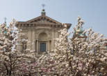 20120316_100821 S.Maria Segreta e fioritura magnolie