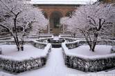 20050303_117_18 Chiostro innevato S.Maria delle Grazie