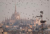 20091110_175543 Storni e Duomo