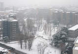 20120201_161136 Giardini di via Massena sotto a una nevicata