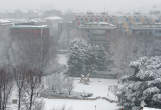 20130211_131445 Parco Pagano sotto a una nevicata