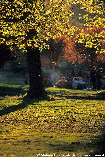  Controluce ai Giardini - click to next image