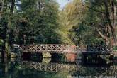 20060414_160_12 Ponticello