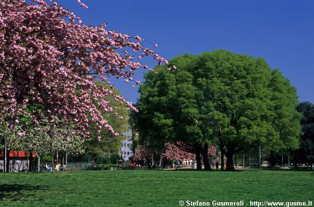  Parco Pallavicino - click to next image