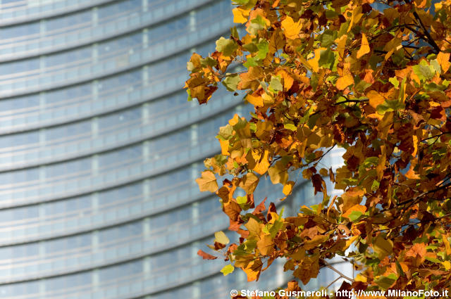  Torre Pelli autunnale - click to next image