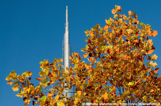  Spire autunnale - click to next image