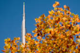 20111123_150252 Spire autunnale