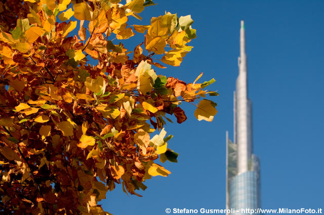  Spire autunnale - click to next image