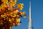 20111123_150945 Spire autunnale
