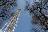 20090320_130628 Torre Branca