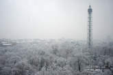 20121214_094517 Parco Sempione e torre Branca sotto alla nevicata