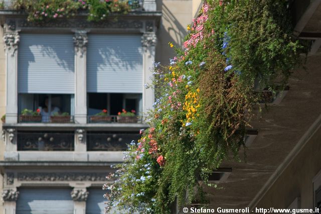  Balcone fiorito in piazza del Carmine 6 - click to next image