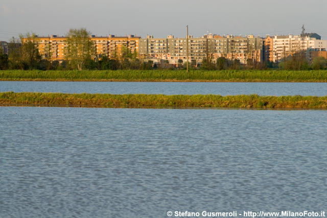  Risaie verso via Cascina Bianca - click to next image