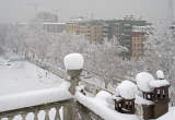 20090107_093333 Viale Cassiodoro innevato