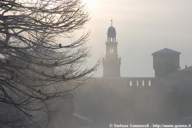  Piccioni su albero e Castello - click to next image
