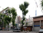 20110717_103355 Via Emanuele Filiberto 3