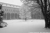 20060127_094409 Chiostro della Cattolica innevato