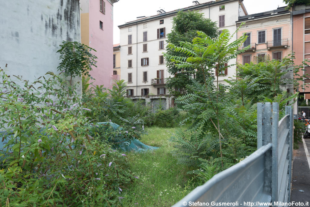  Vegetazione all'interno - click to next image