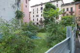 20140719_173940 Vegetazione all'interno