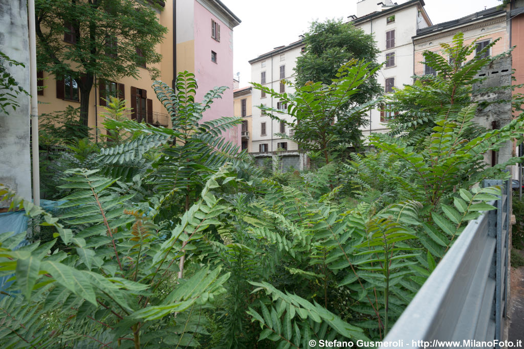  Vegetazione all'interno - click to next image