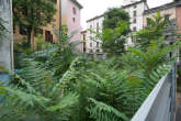 20140719_174025 Vegetazione all'interno