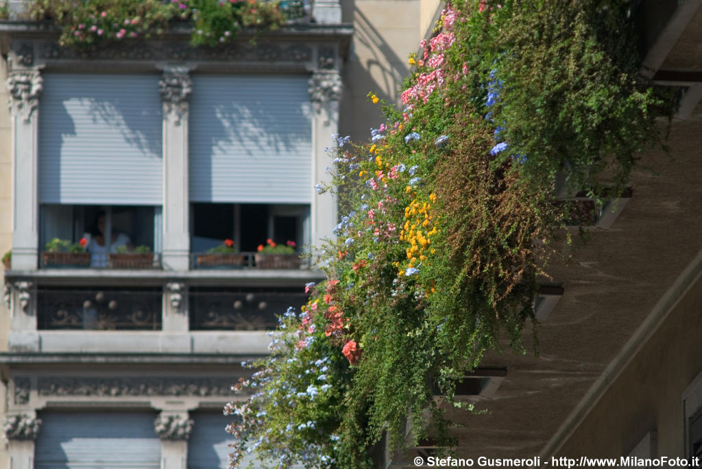  Balcone fiorito - click to next image
