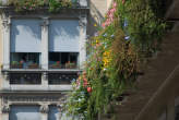 20060820_111832 Balcone fiorito