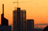 20091014_073245 Cantiere AltraSede e storni all'alba