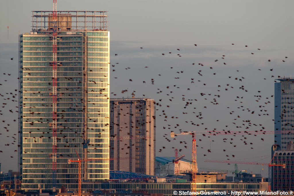  Storni e AltraSede - click to next image
