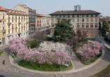 20120316_120553 Fioritura in piazza Tommaseo